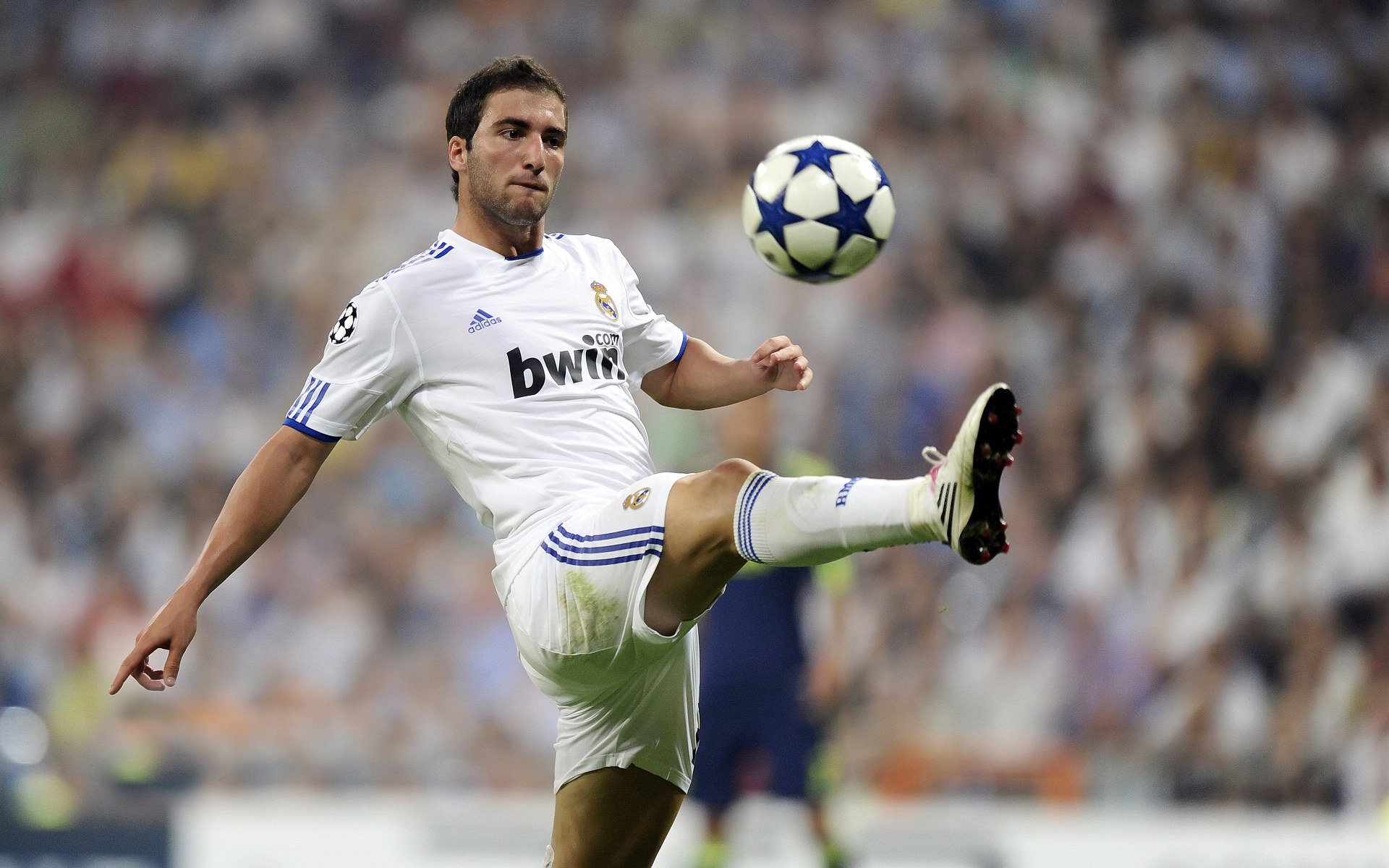 世界杯之夜,字母哥的传奇制胜